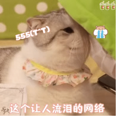 图片[30]-聊天可爱表情包-喜欢表情包分享—全网表情包