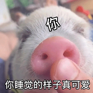 图片[1]-贱贱的表情-喜欢表情包分享—全网表情包