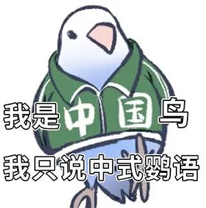 图片[13]-最近热门鸟语表情-喜欢表情包分享—全网表情包