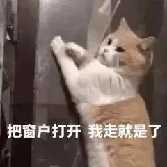 图片[12]-表情包-喜欢表情包分享—全网表情包