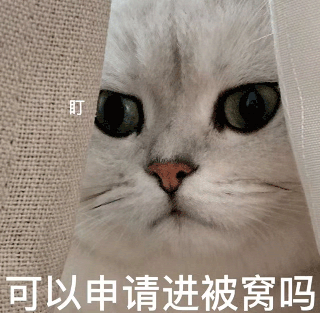 图片[12]-收图世间到~-喜欢表情包分享—全网表情包