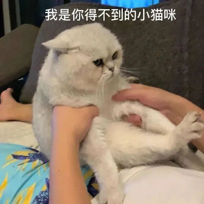图片[17]-有空一起尿尿-喜欢表情包分享—全网表情包