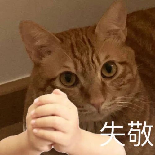 图片[18]-真是草了-喜欢表情包分享—全网表情包