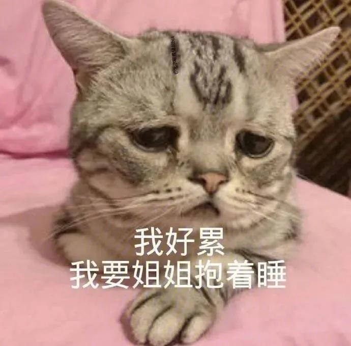图片[14]-只想做你一个人的舔狗-喜欢表情包分享—全网表情包