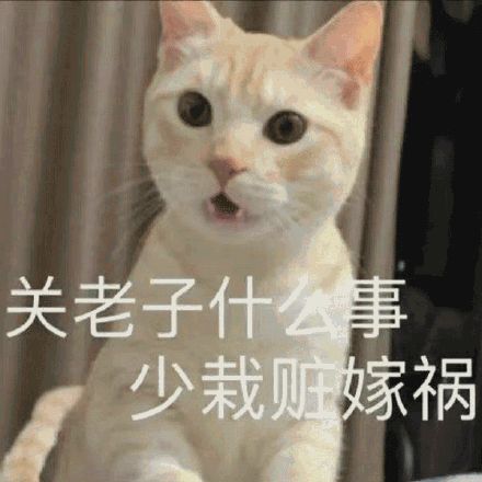 图片[25]-天冷了！我不要上班-喜欢表情包分享—全网表情包