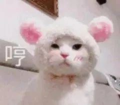 图片[15]-有空一起尿尿-喜欢表情包分享—全网表情包