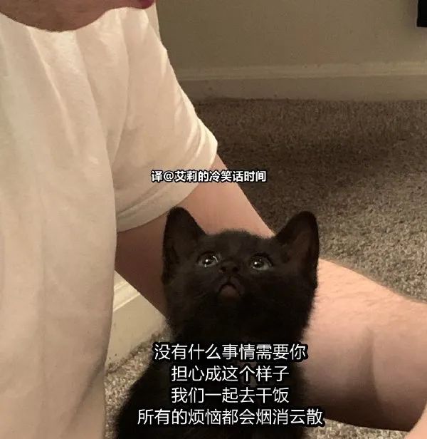 图片[2]-今日份沙雕图-喜欢表情包分享—全网表情包