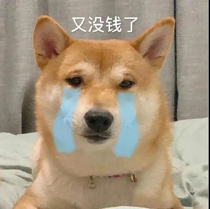 图片[6]-表情包-喜欢表情包分享—全网表情包