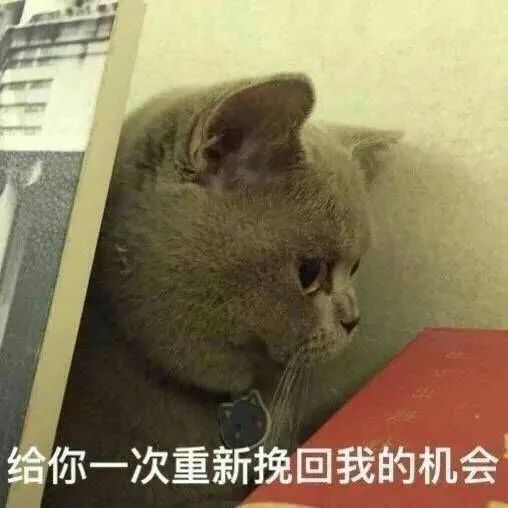 图片[31]-有空一起尿尿-喜欢表情包分享—全网表情包