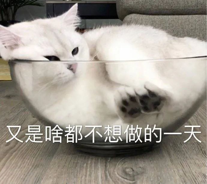 图片[19]-我最期待的画面出现了！-喜欢表情包分享—全网表情包