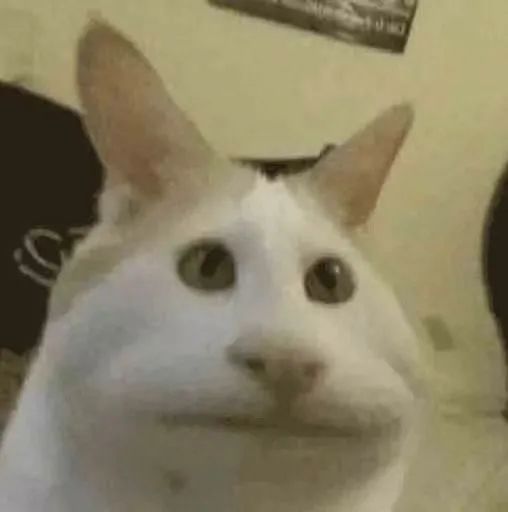 图片[17]-可爱的猫猫头增加了-喜欢表情包分享—全网表情包