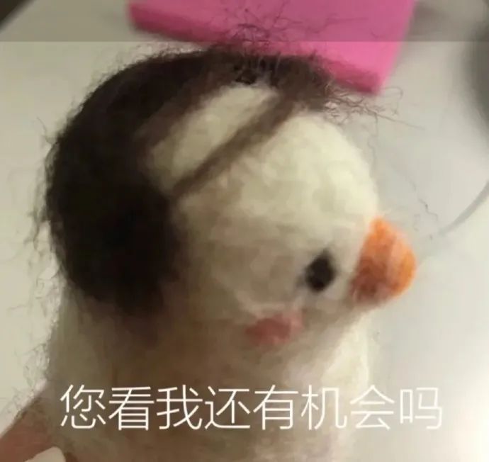 图片[7]-表情包-喜欢表情包分享—全网表情包