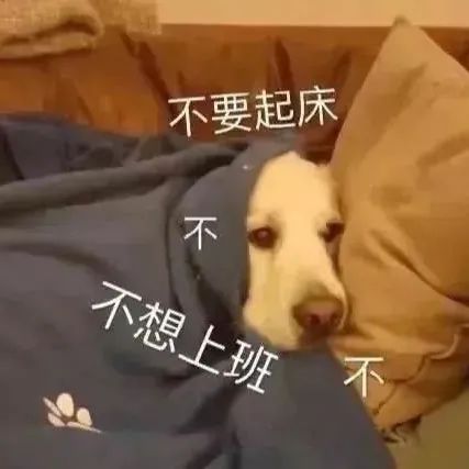 图片[6]-新打工人表情包-喜欢表情包分享—全网表情包