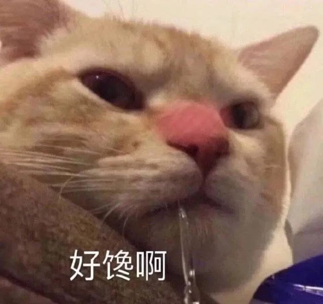 图片[10]-中午好 发表情啦-喜欢表情包分享—全网表情包