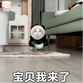 图片[4]-宝贝们 我来了-喜欢表情包分享—全网表情包