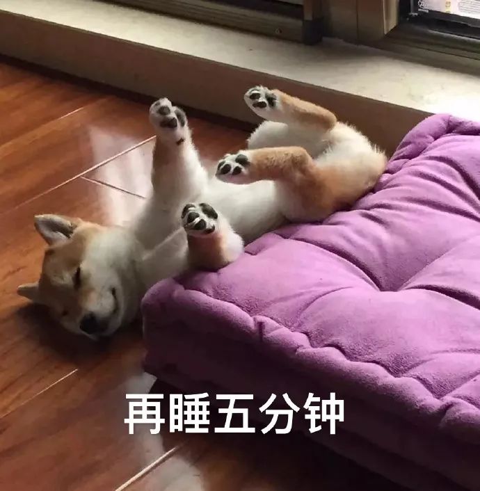 图片[11]-表情包-喜欢表情包分享—全网表情包
