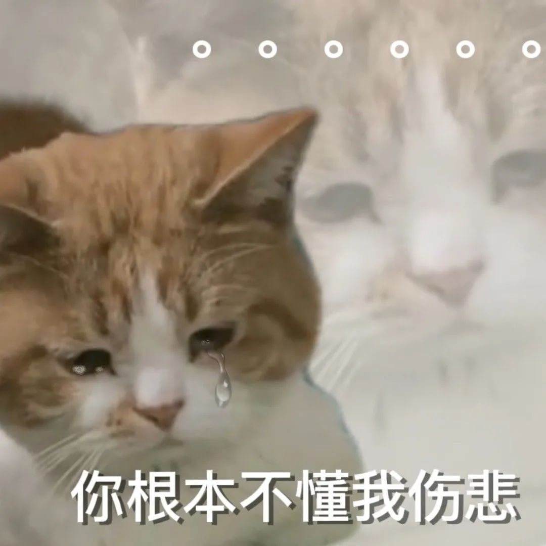 图片[2]-奇怪的表情增加了-喜欢表情包分享—全网表情包