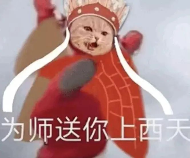 图片[15]-聊天沙雕表情包，承包了！-喜欢表情包分享—全网表情包