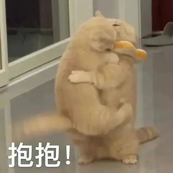 图片[6]-表情包-喜欢表情包分享—全网表情包