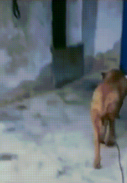 图片[1]-【GIF】有良好的自我管理意识-喜欢表情包分享—全网表情包