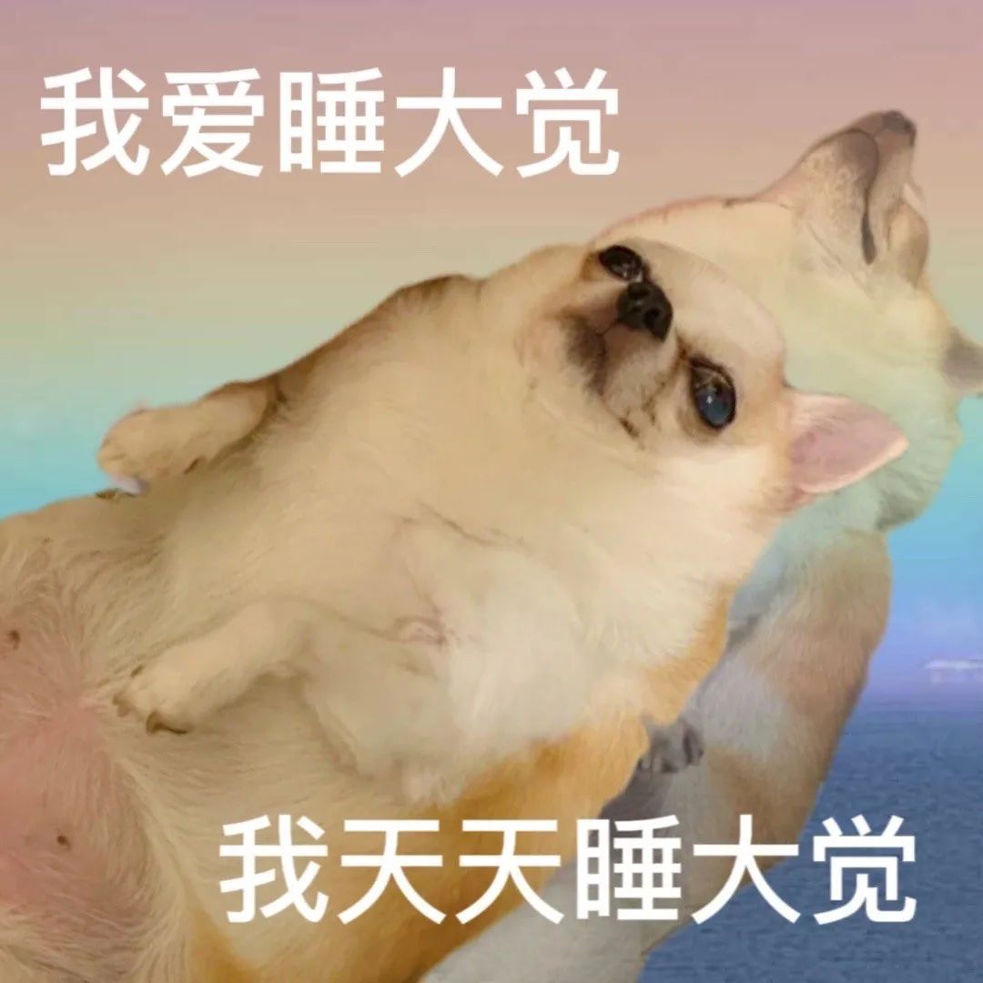 图片[3]-藕买嘎-喜欢表情包分享—全网表情包
