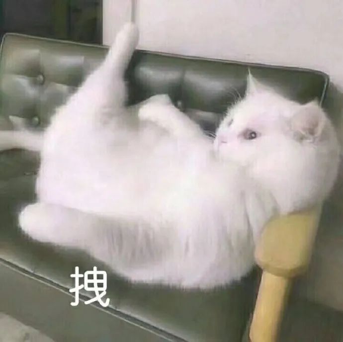 图片[59]-抖音热门表情包丨我今天巨巨巨巨巨巨巨想你-喜欢表情包分享—全网表情包