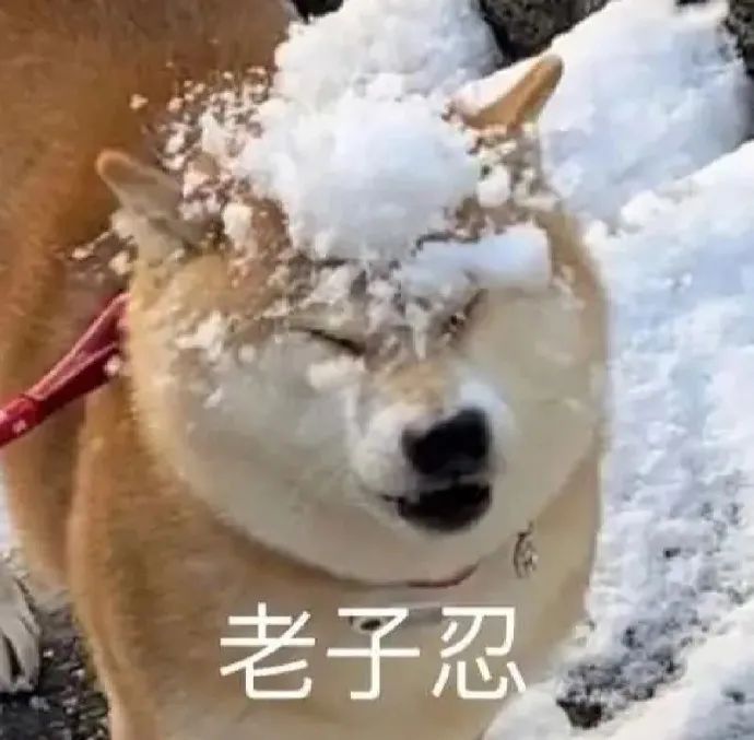图片[11]-表情包-喜欢表情包分享—全网表情包