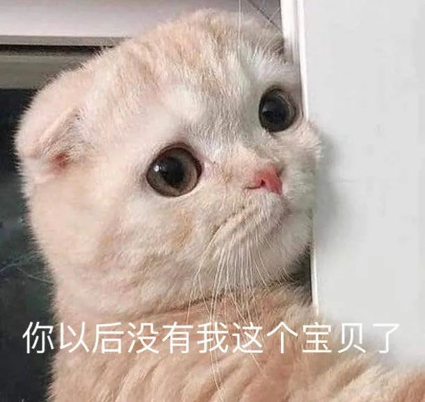 图片[2]-聊天可爱表情包-喜欢表情包分享—全网表情包