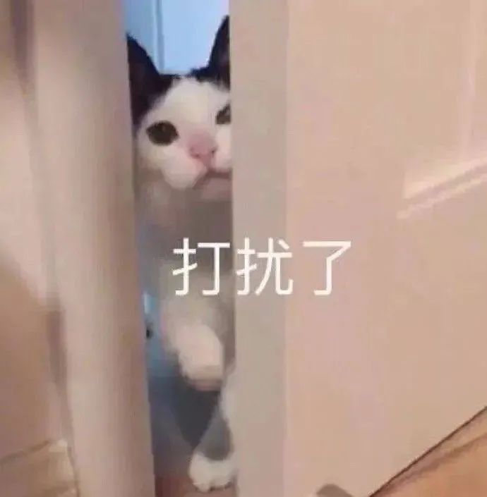 图片[23]-把心给你-喜欢表情包分享—全网表情包