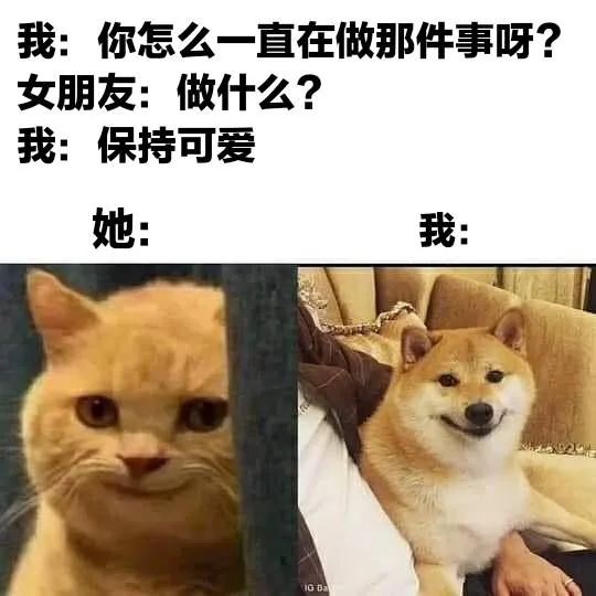 图片[1]-有屁不放就憋着，哎？就是玩！-喜欢表情包分享—全网表情包