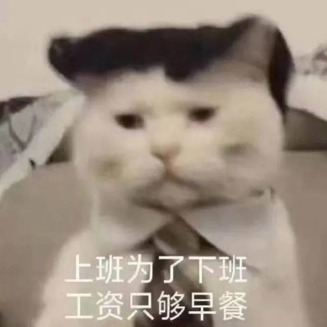 图片[13]-表情包-喜欢表情包分享—全网表情包