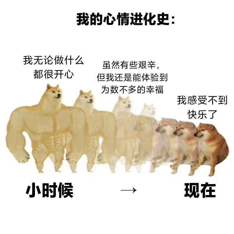 图片[12]-宝贝 我来了-喜欢表情包分享—全网表情包