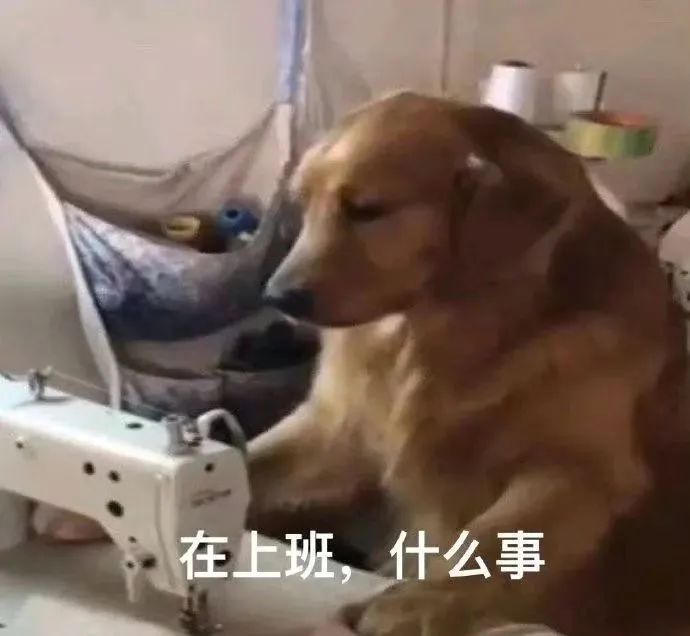 图片[21]-你好老公-喜欢表情包分享—全网表情包