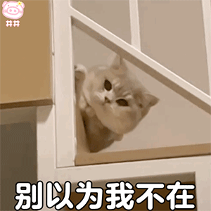 图片[7]-你不要我了吗-喜欢表情包分享—全网表情包