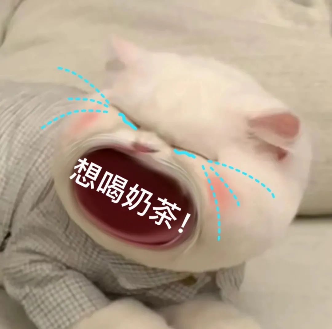 图片[23]-45个聊天撒娇必用大嘴猫表情-喜欢表情包分享—全网表情包