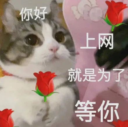 图片[3]-唠会嗑吧-喜欢表情包分享—全网表情包