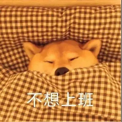 图片[23]-你别是个傻子吧-喜欢表情包分享—全网表情包