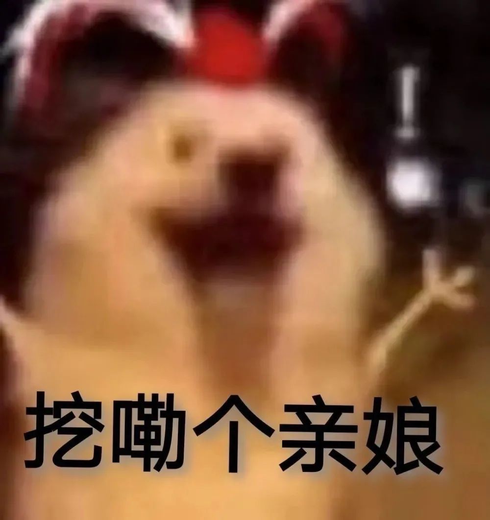 图片[10]-可以进你被窝吗？-喜欢表情包分享—全网表情包