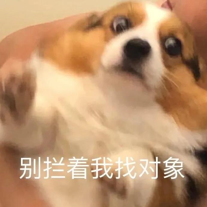 图片[21]-只想做你一个人的舔狗-喜欢表情包分享—全网表情包
