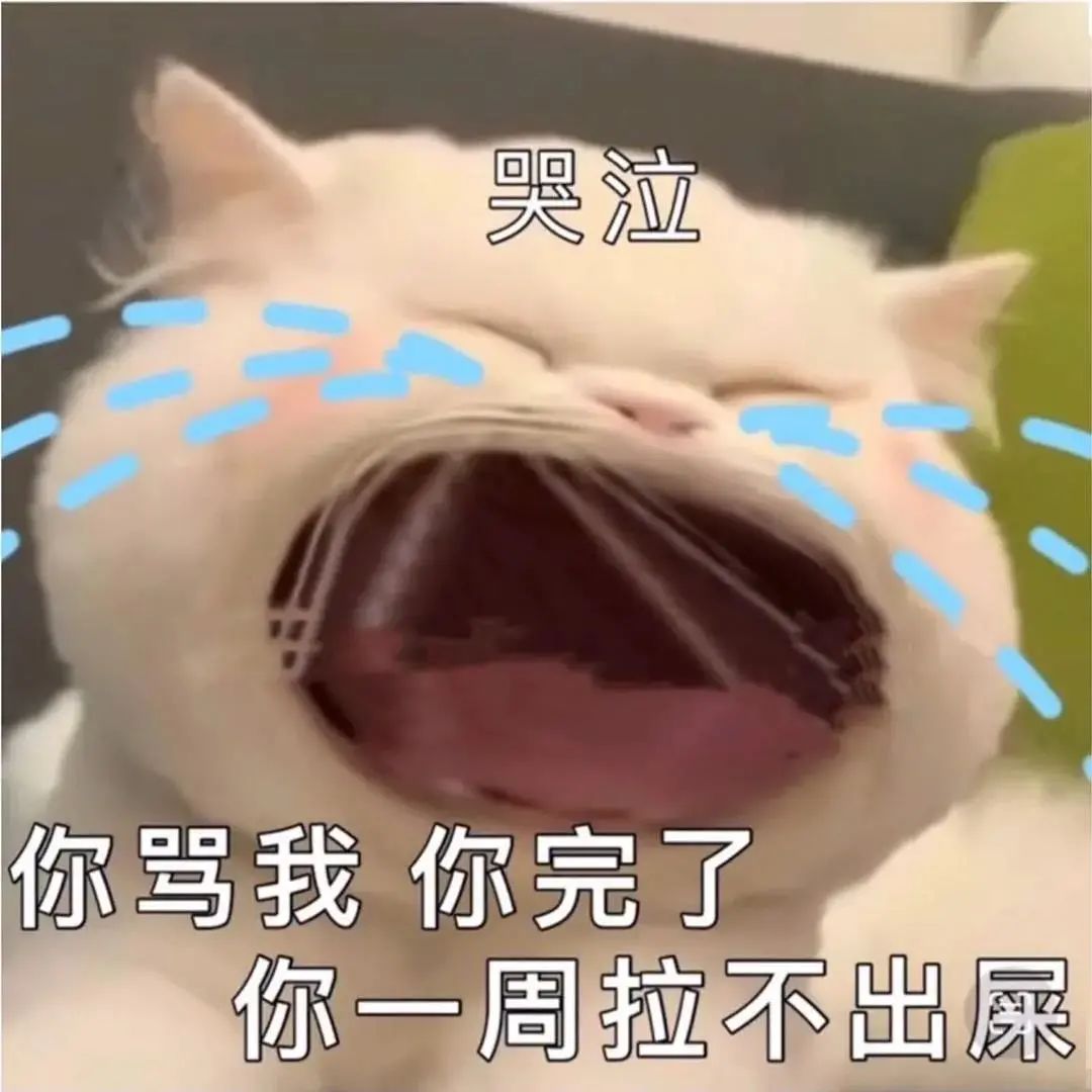 图片[26]-45个聊天撒娇必用大嘴猫表情-喜欢表情包分享—全网表情包