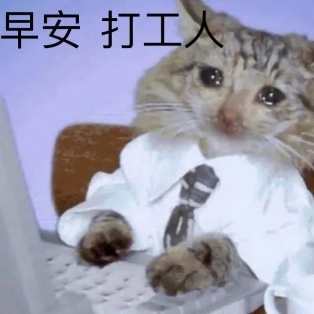 图片[15]-新打工人表情包-喜欢表情包分享—全网表情包