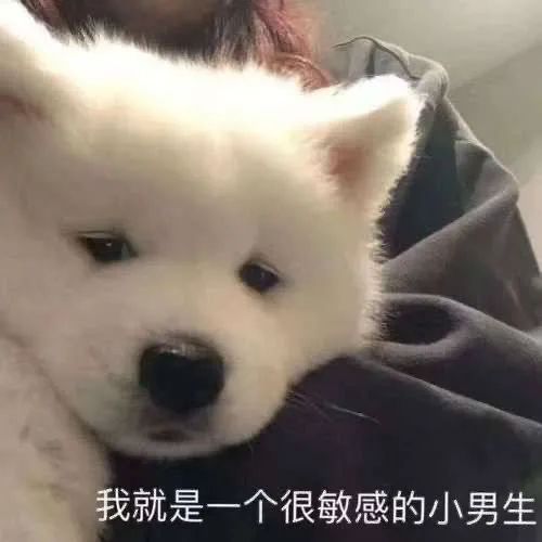 图片[13]-有一点骚yyds-喜欢表情包分享—全网表情包