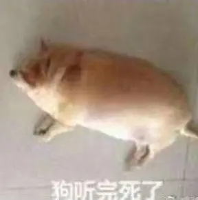 9c44acbb2c1c0fc81d0784378f3b1282