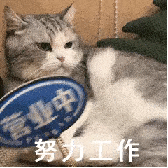 图片[8]-在忙呢 妹妹-喜欢表情包分享—全网表情包