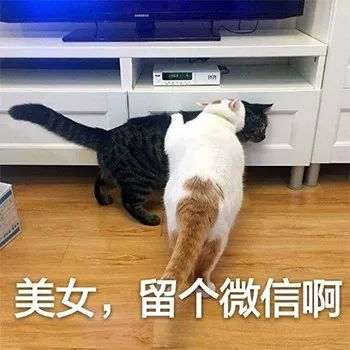 图片[5]-表情包-喜欢表情包分享—全网表情包