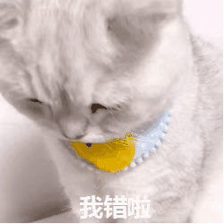 图片[31]-聊天可爱表情包-喜欢表情包分享—全网表情包