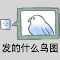 图片[1]-最近热门鸟语表情-喜欢表情包分享—全网表情包