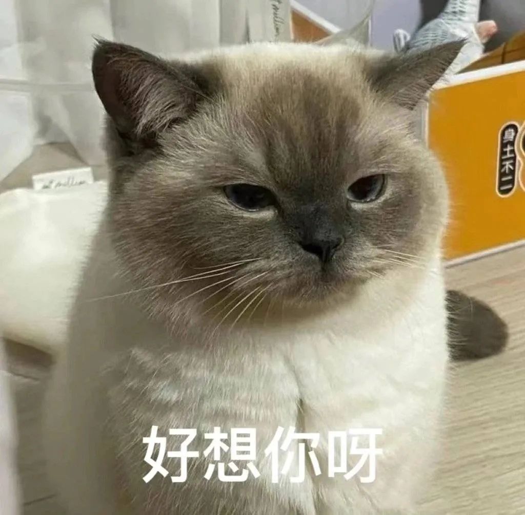 图片[22]-你是不是想亲我-喜欢表情包分享—全网表情包