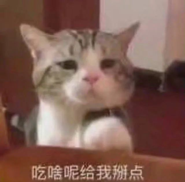 图片[13]-有亿点骚-喜欢表情包分享—全网表情包