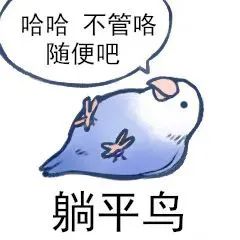 图片[21]-最近热门鸟语表情-喜欢表情包分享—全网表情包